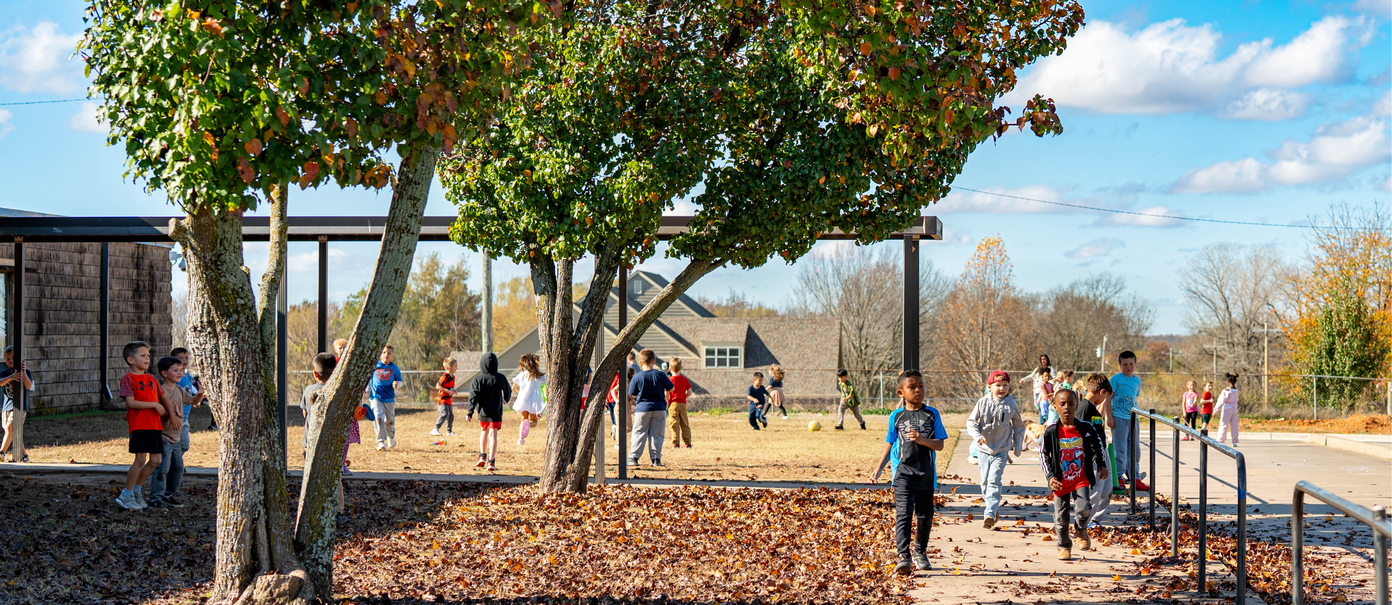 kids playing under a treee