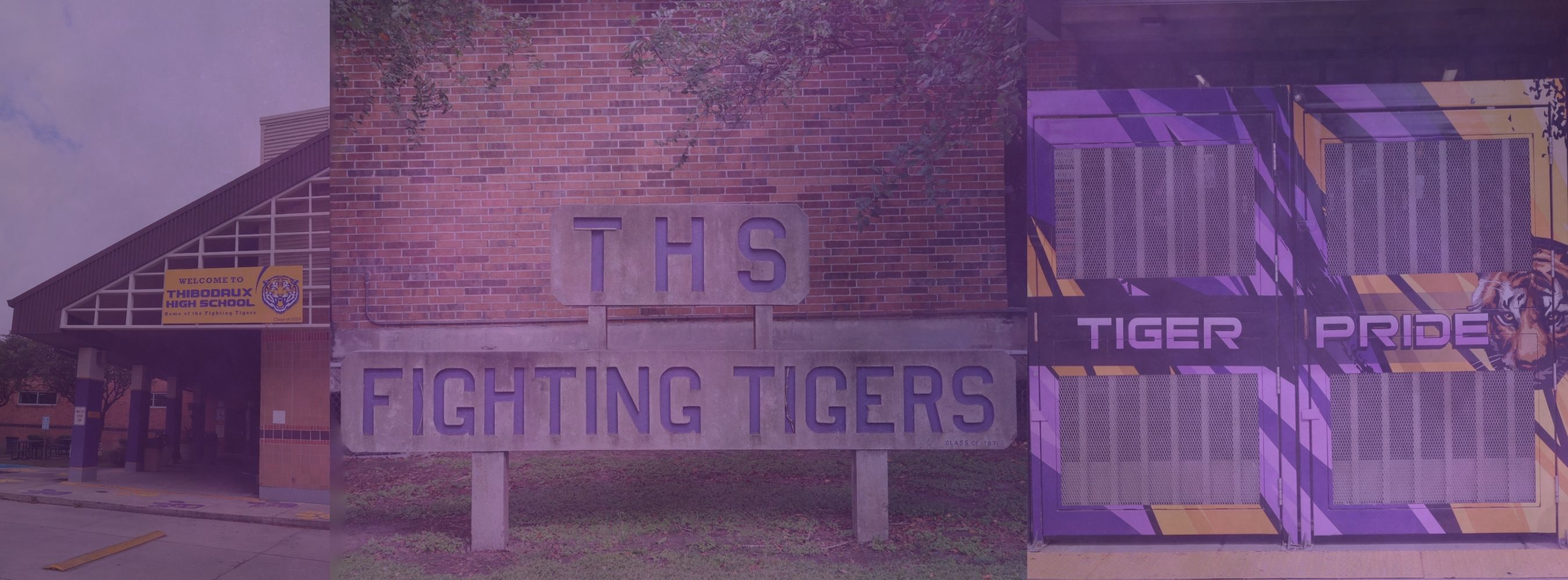 Thibodaux High Gallery Photo