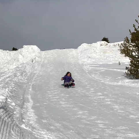 sledding