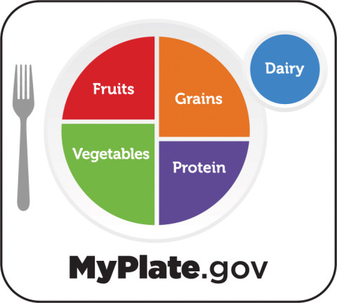 HEALTHY PLATE