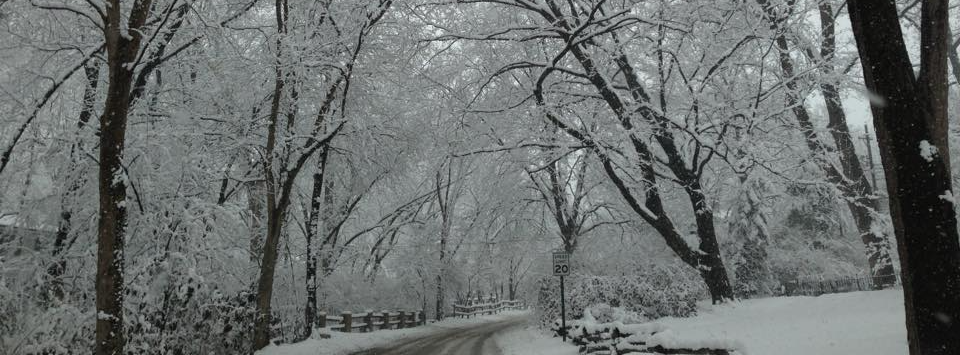 A Snowy Road in Winter