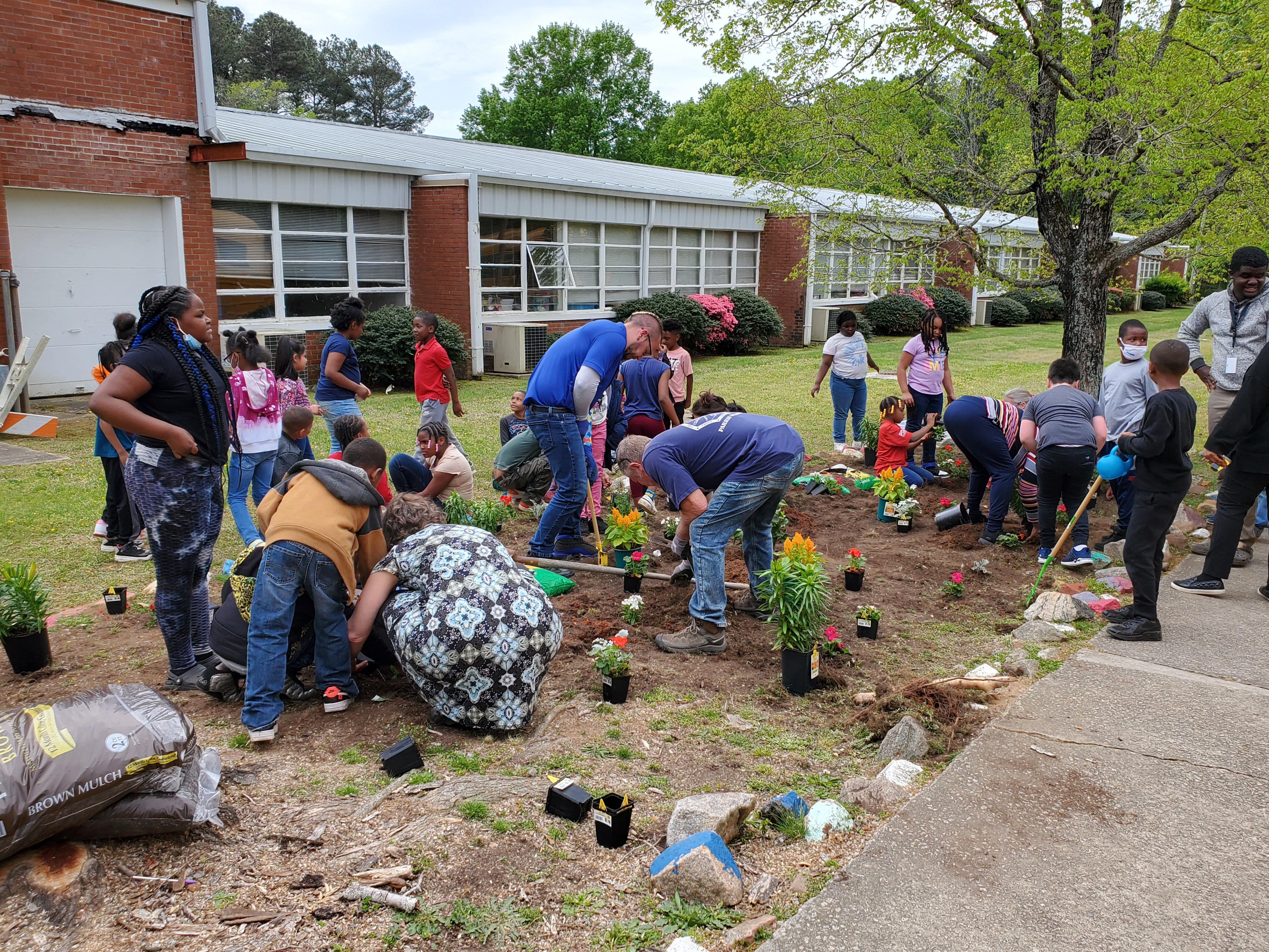 students and teachers working together to plant the school garden