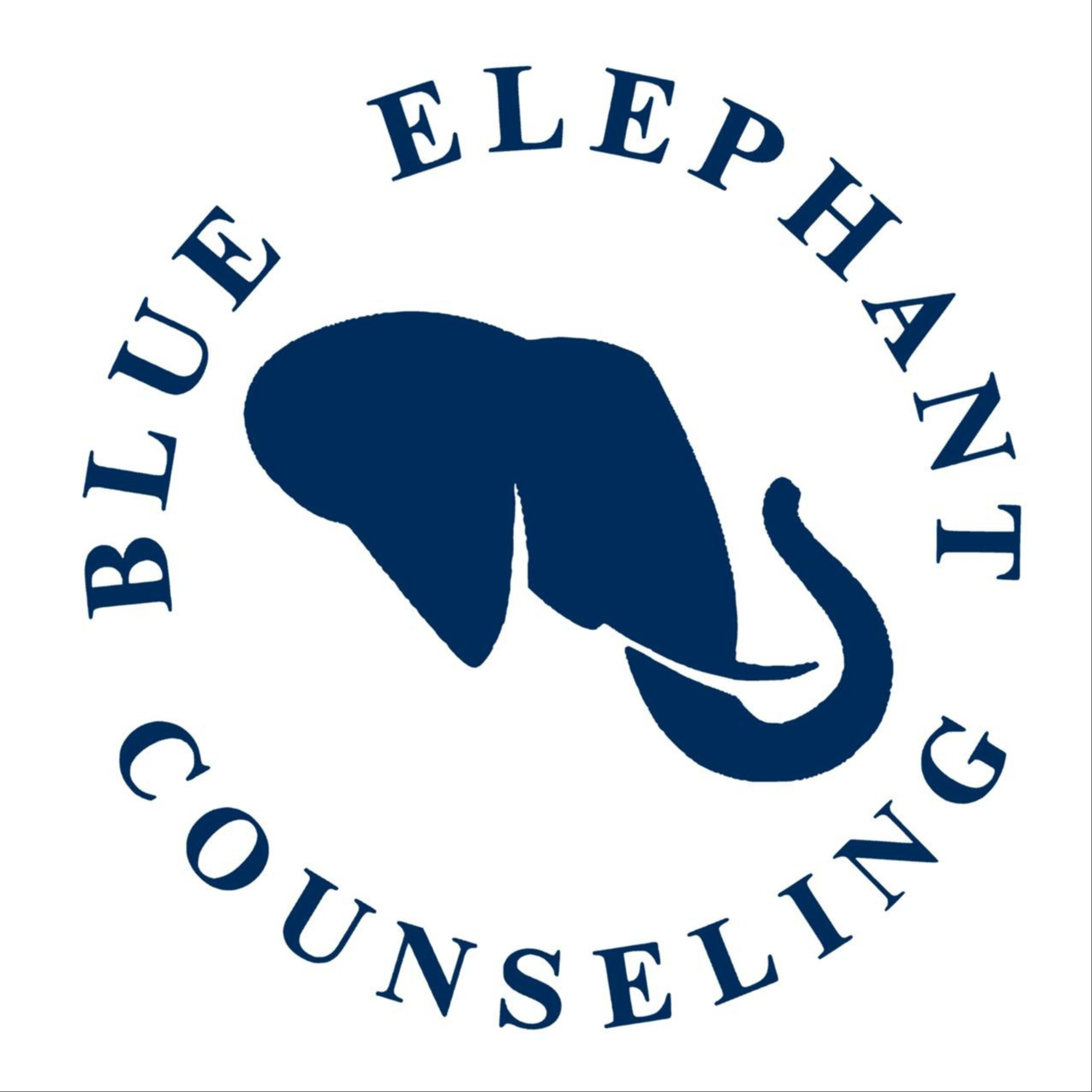 Blue Elephant Counseling