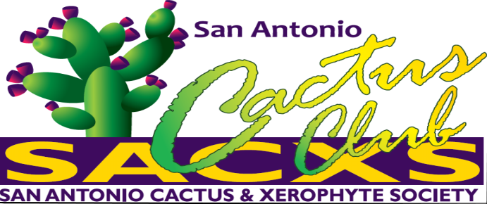Cactus scholarship