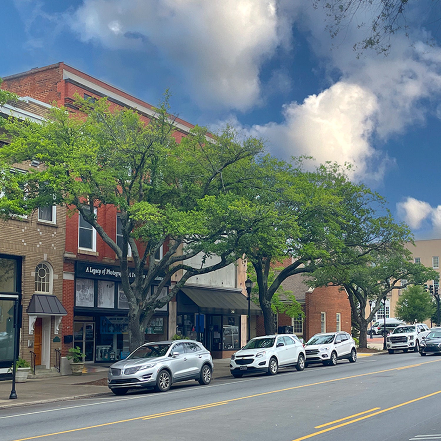 Uptown Shelby Live Oaks Project