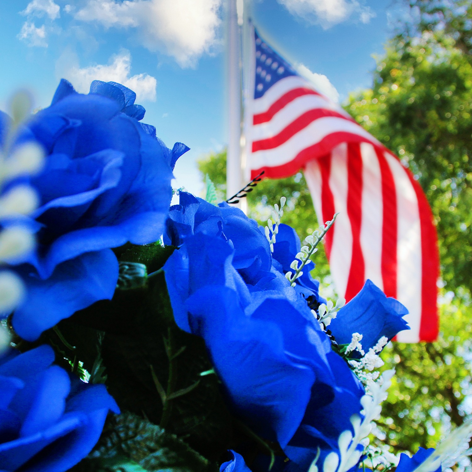 Blue flowers with American flag and blue sky in the background