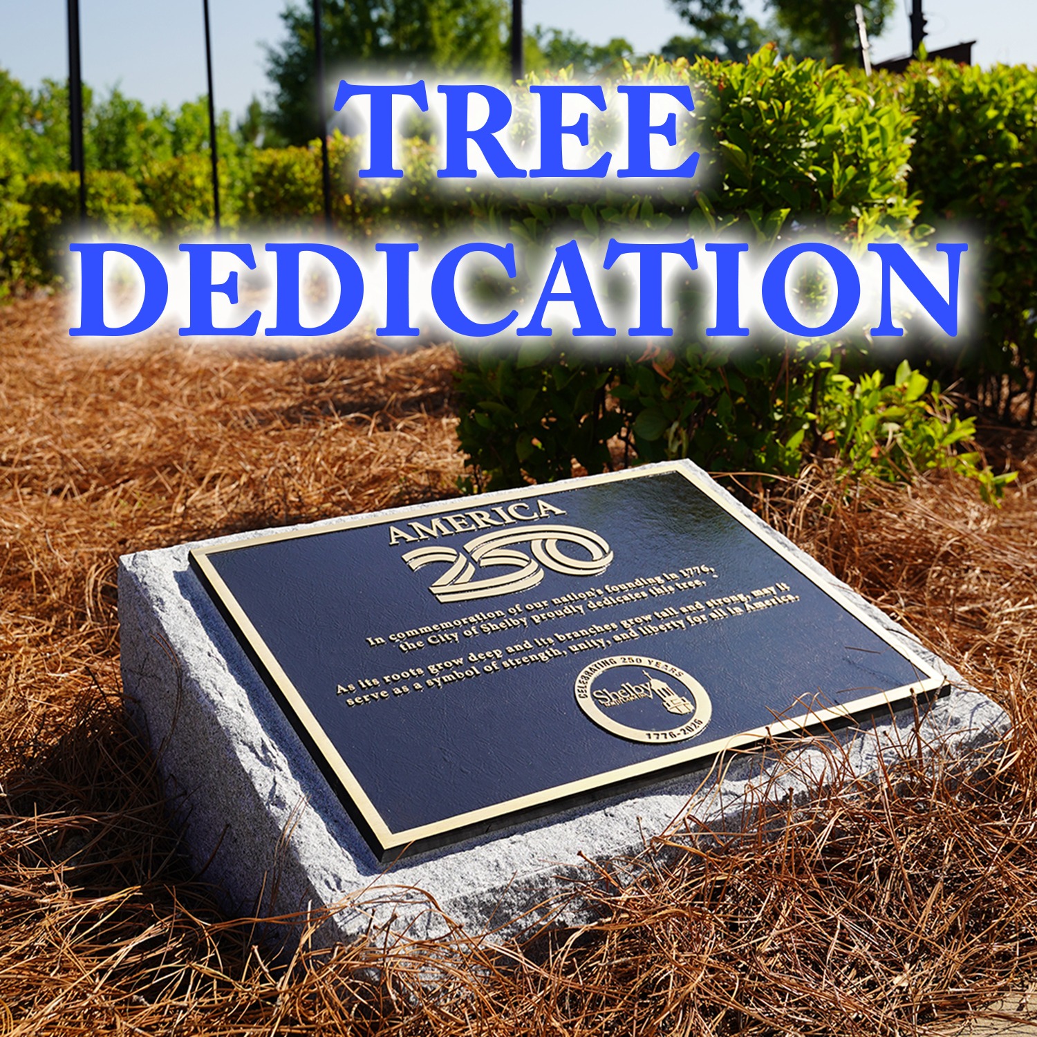 America 250 Tree Dedication bronze plaque on marble base