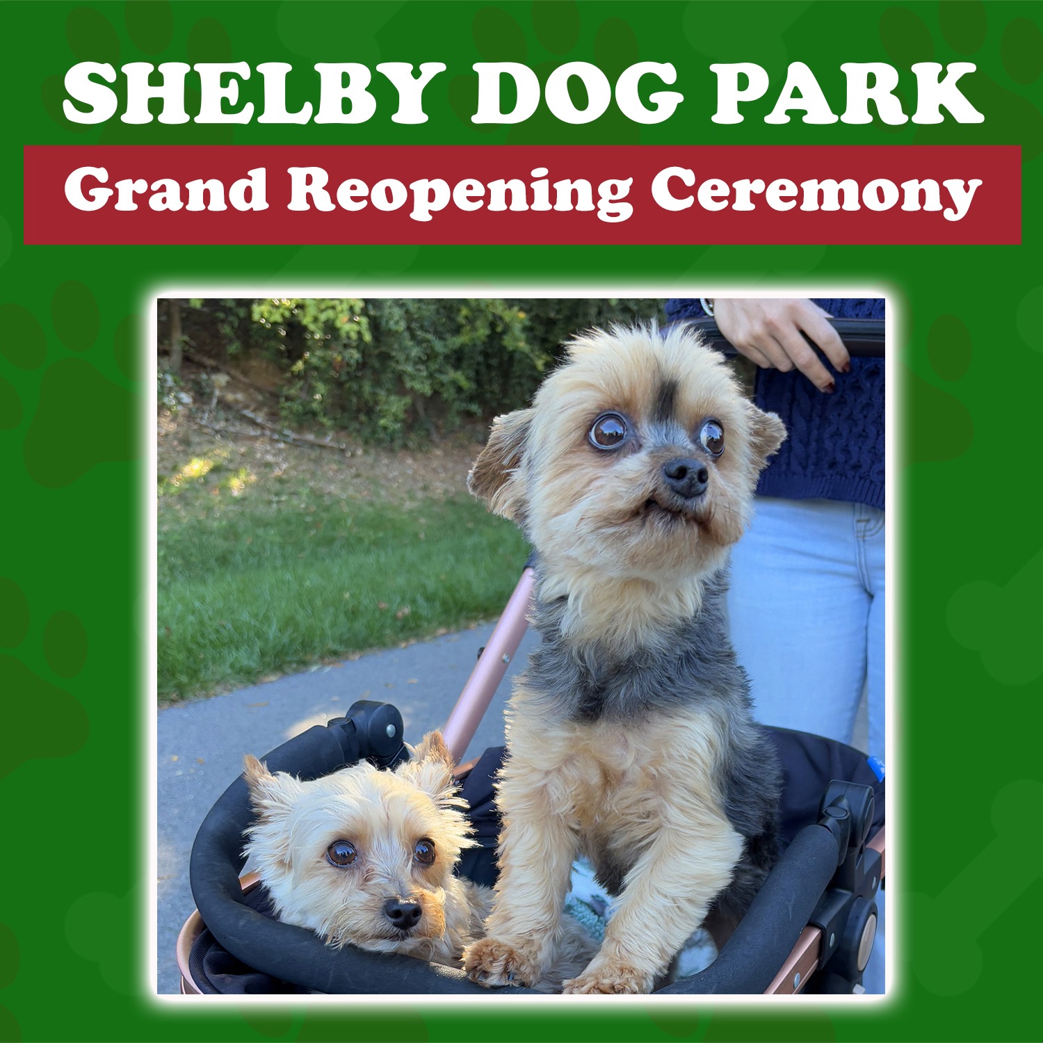 Shelby Dog Park Grand Reopening Ceremony