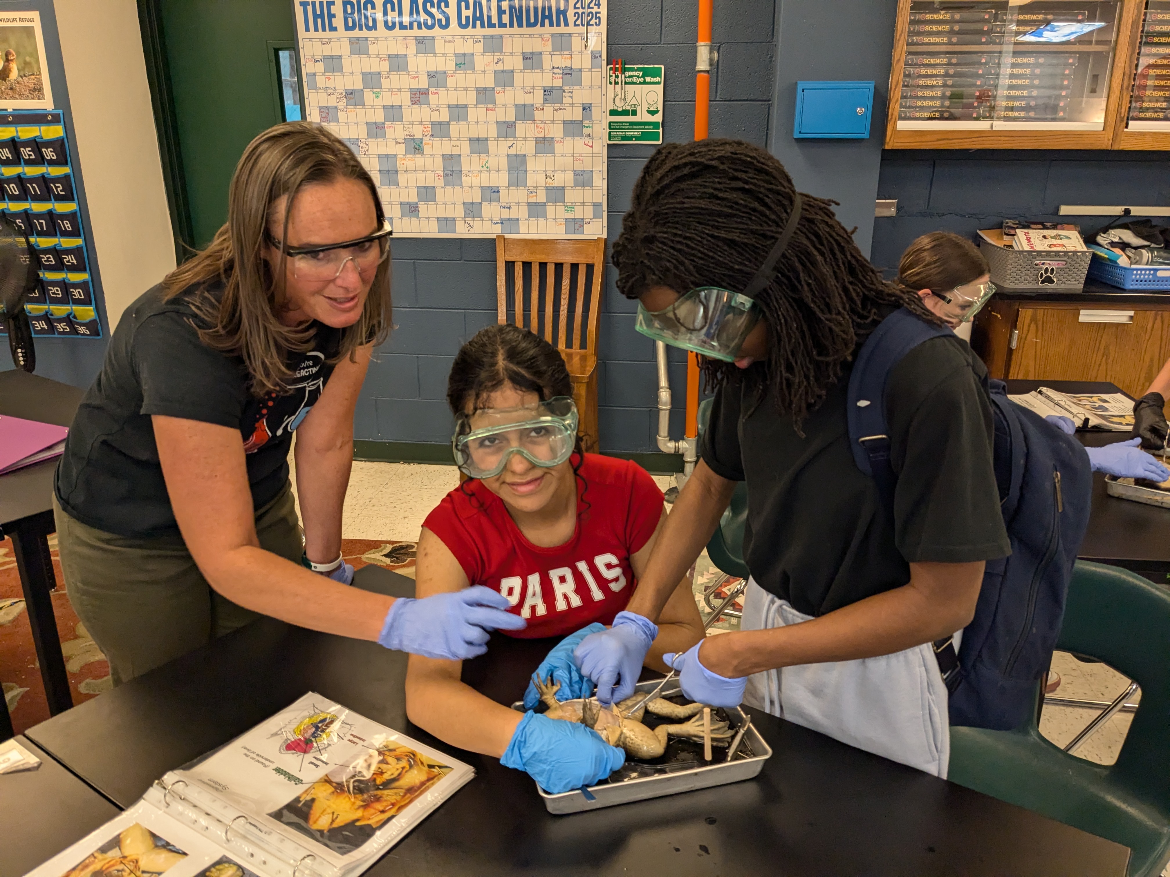 Volunteer helping during a science class dissection lab