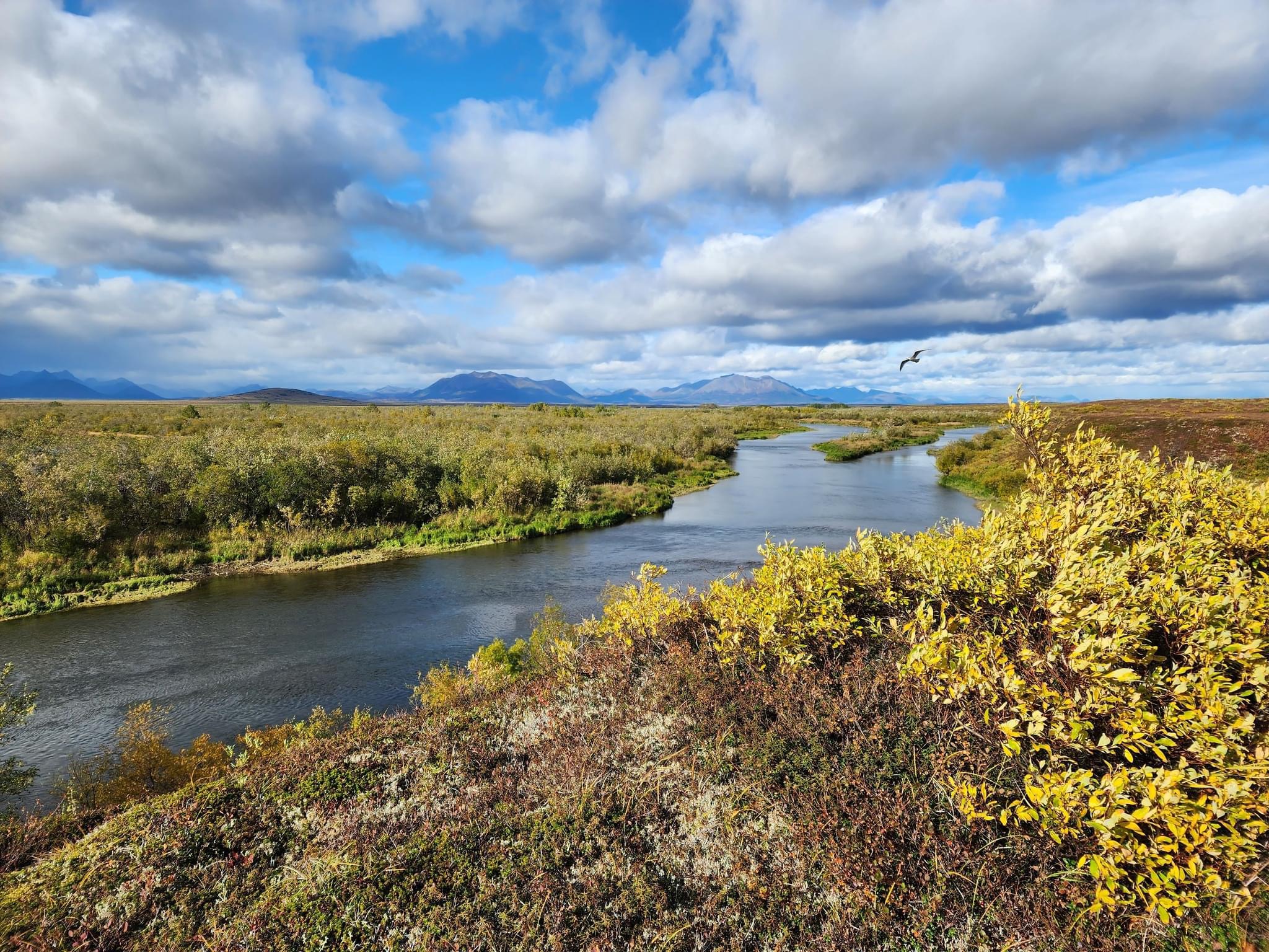 Togiak River