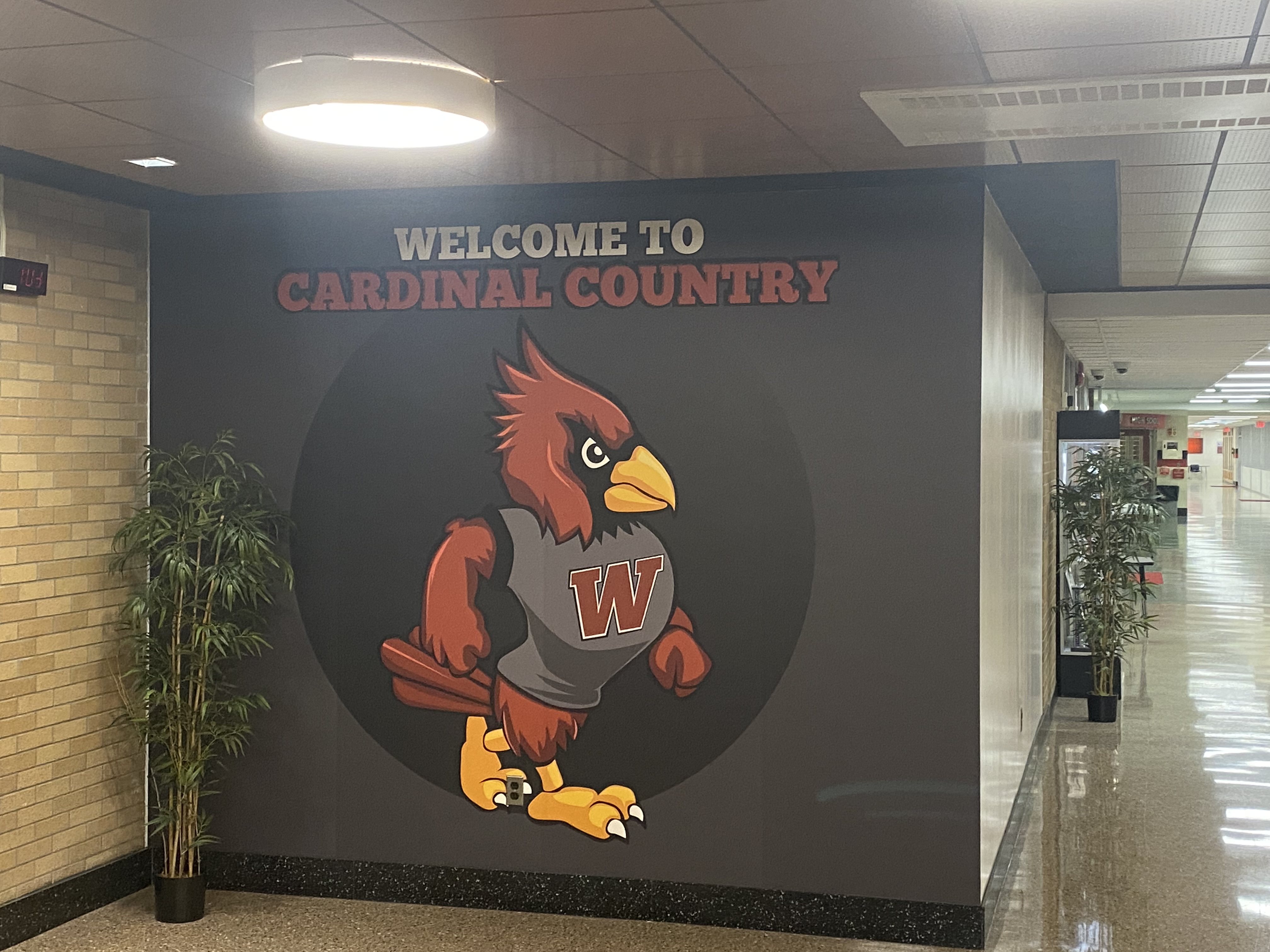 Welcome to Cardinal Country!