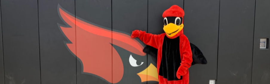 Cardinal Mascot