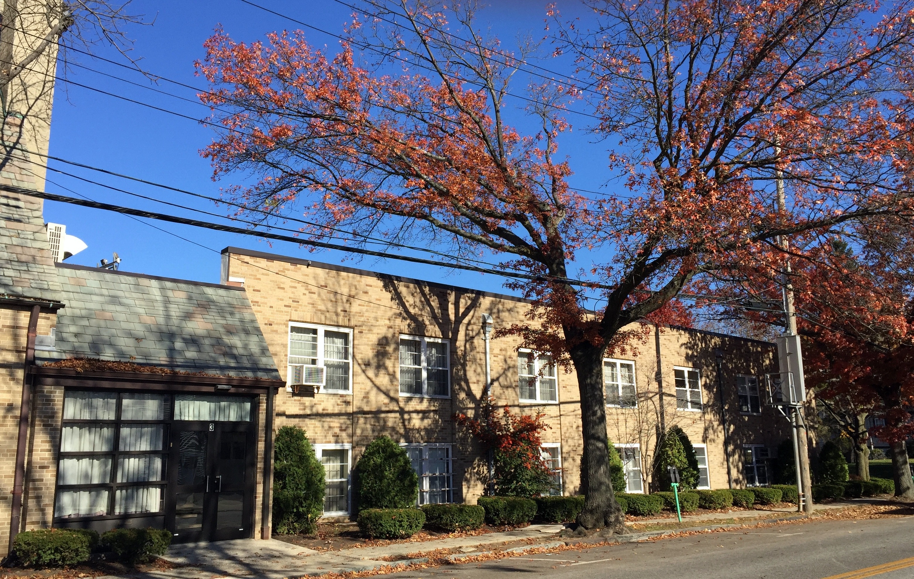 A building with multiple windows, a tree with red leaves, and a clear blue sky. A sidewalk has shrubs and a tree.