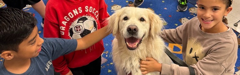 Colonel the therapy dog visiting with children