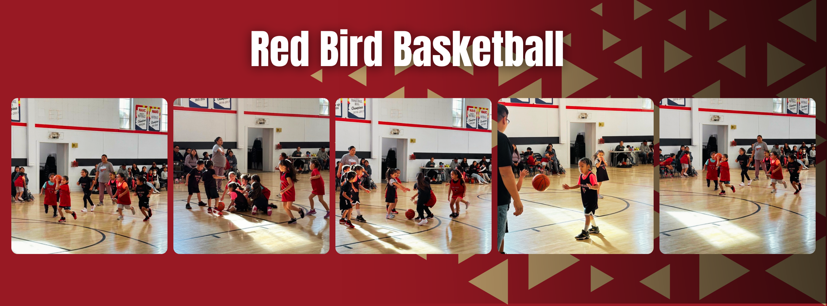 Red Bird Basketball