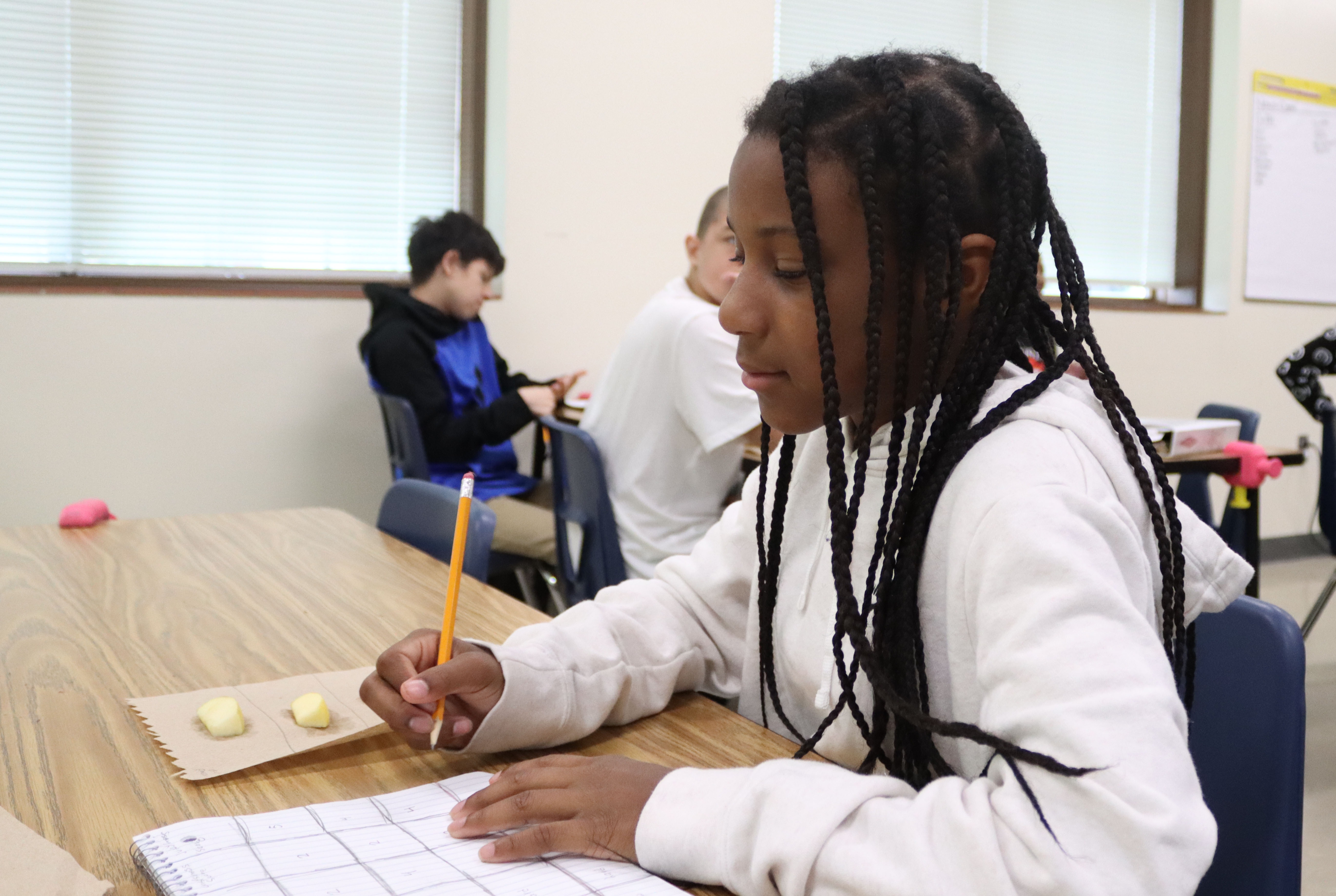 Middle school girl conducting a study on apples.