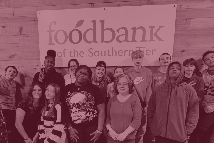 Elmira City Schools logo