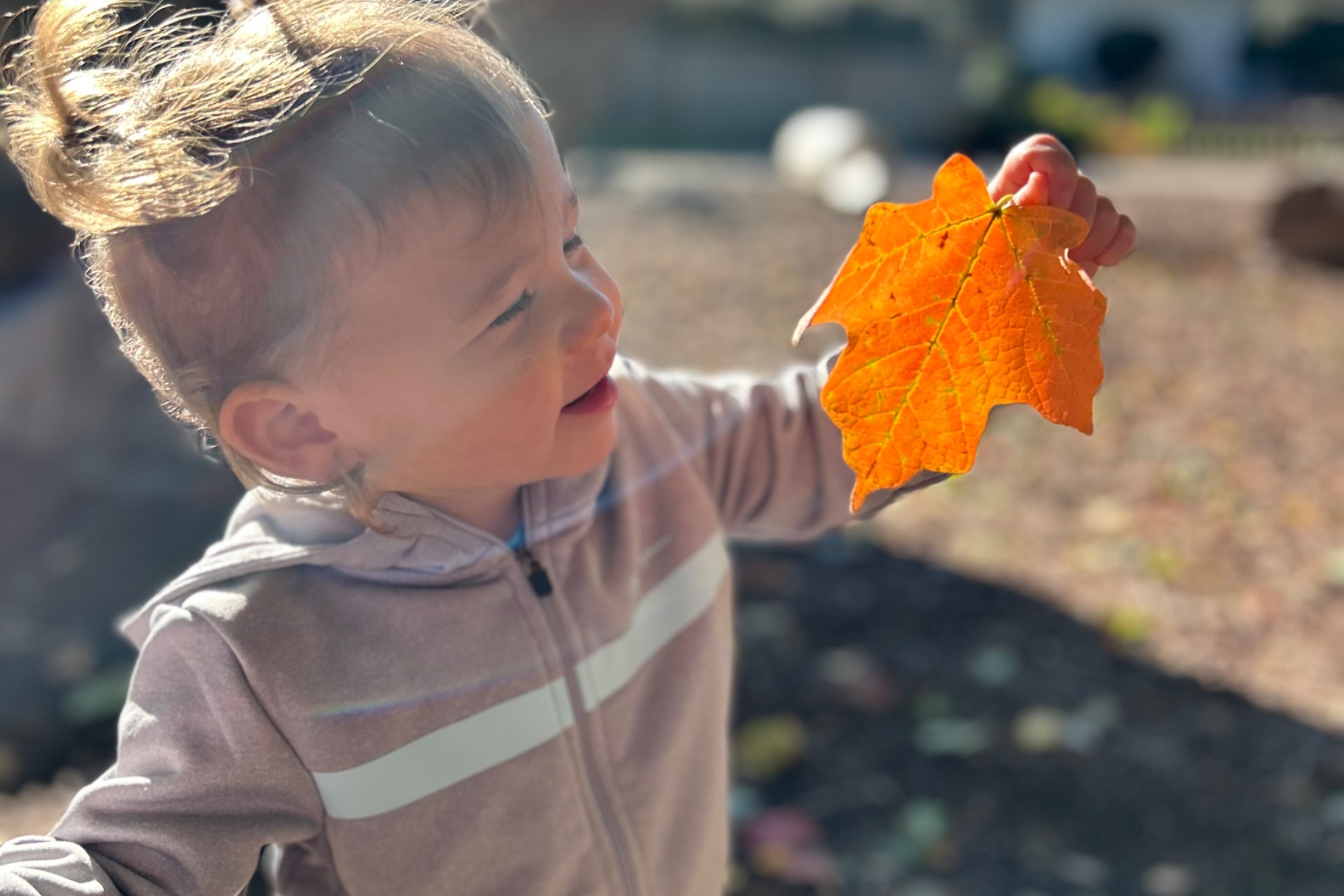toddler leaf and sun