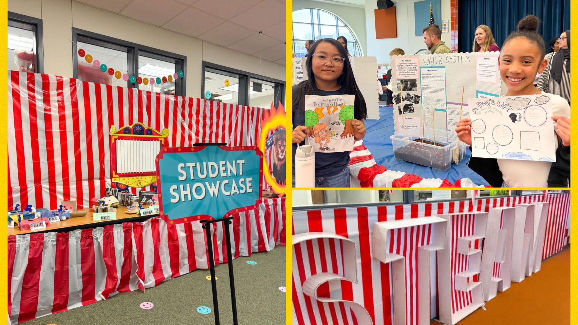 STEAM Carnival
