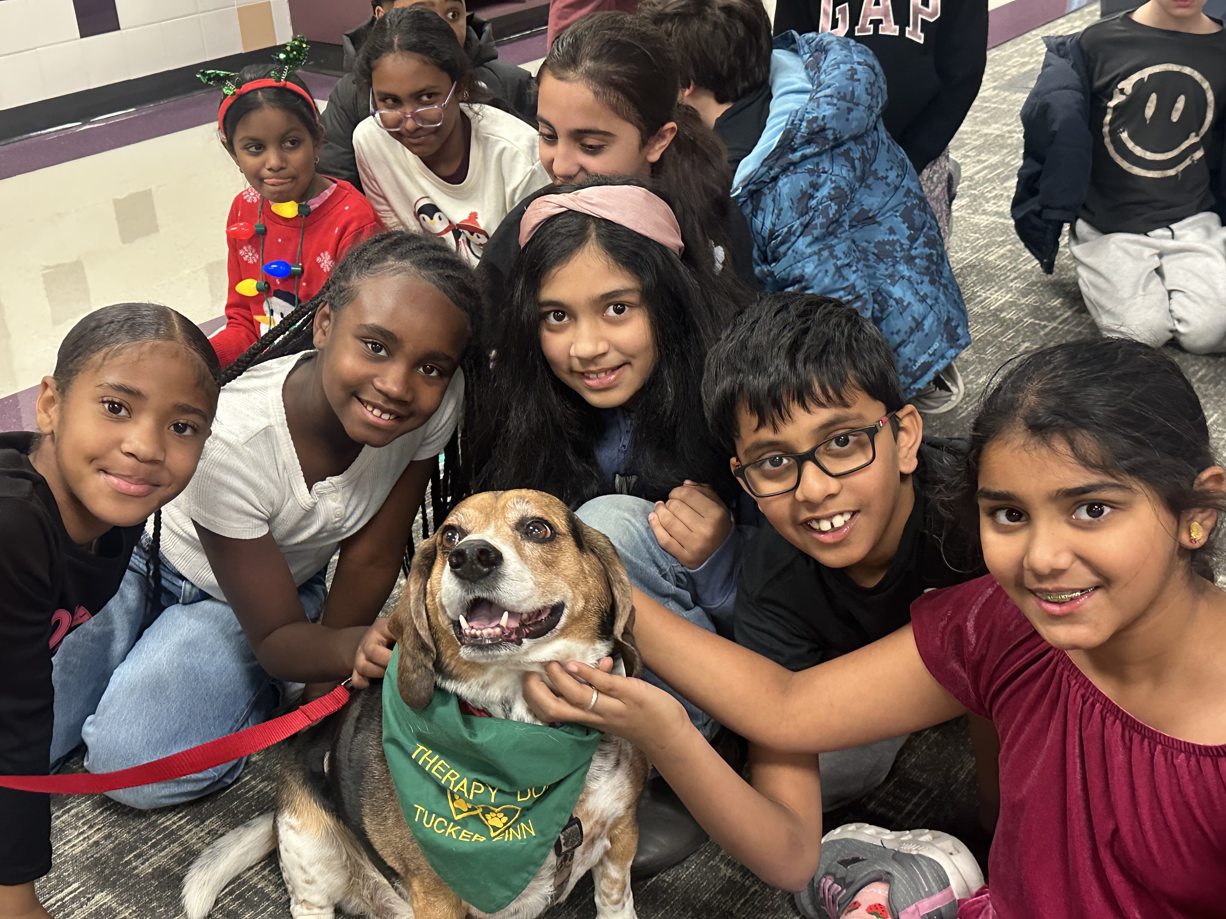 Students with a therapy dog