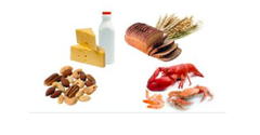 Food and Other Allergy Guidelines