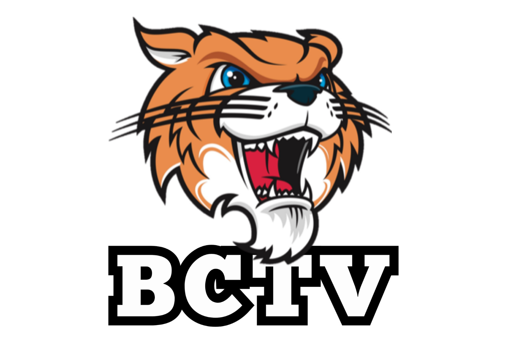 BCTV icon