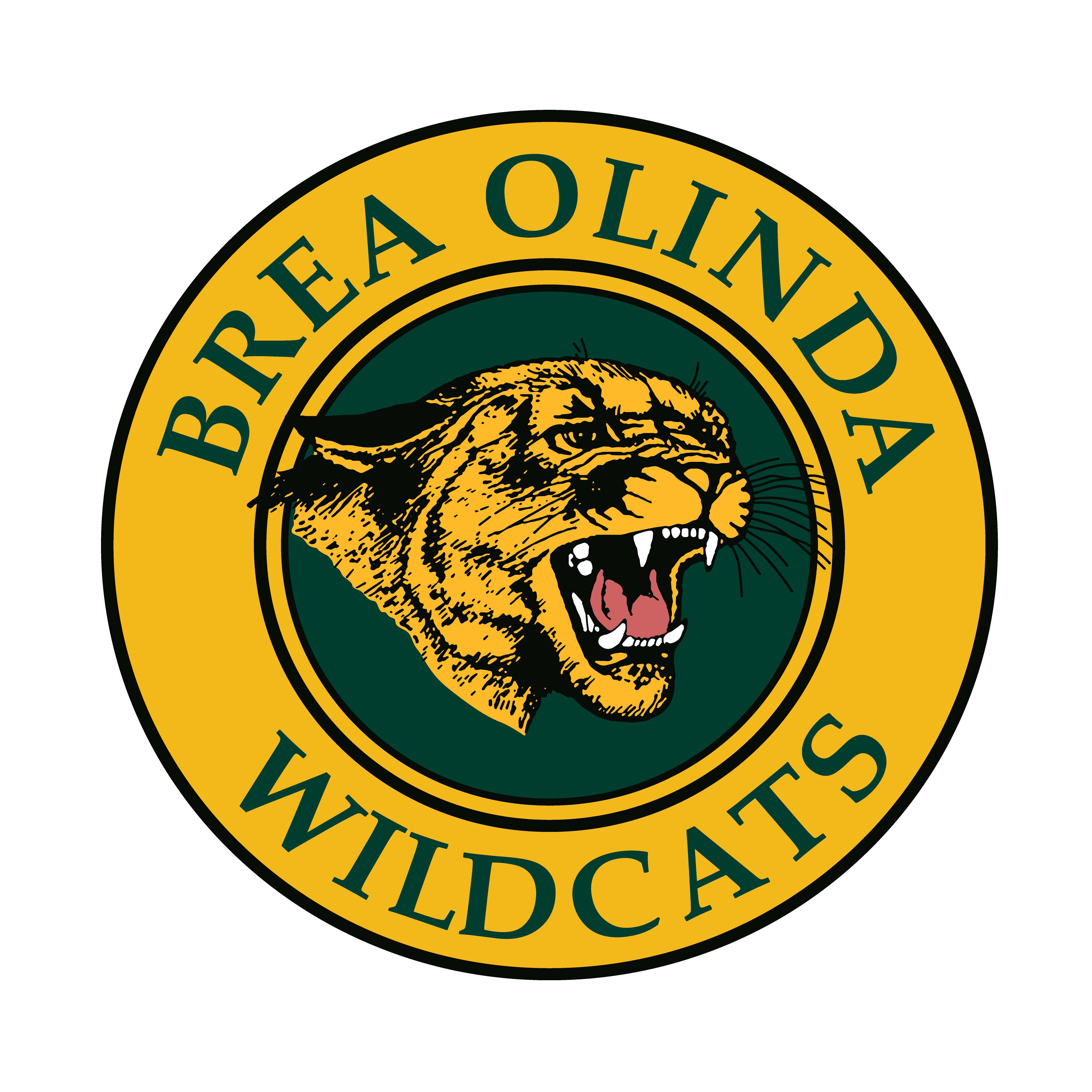 BOHS logo with gold and yellow an wildcat in the midde