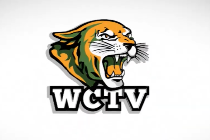 wildcat tv wctv