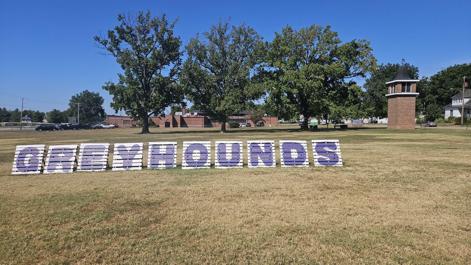 hounds