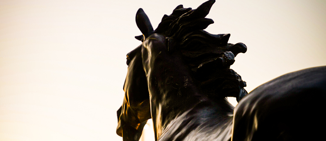 horse