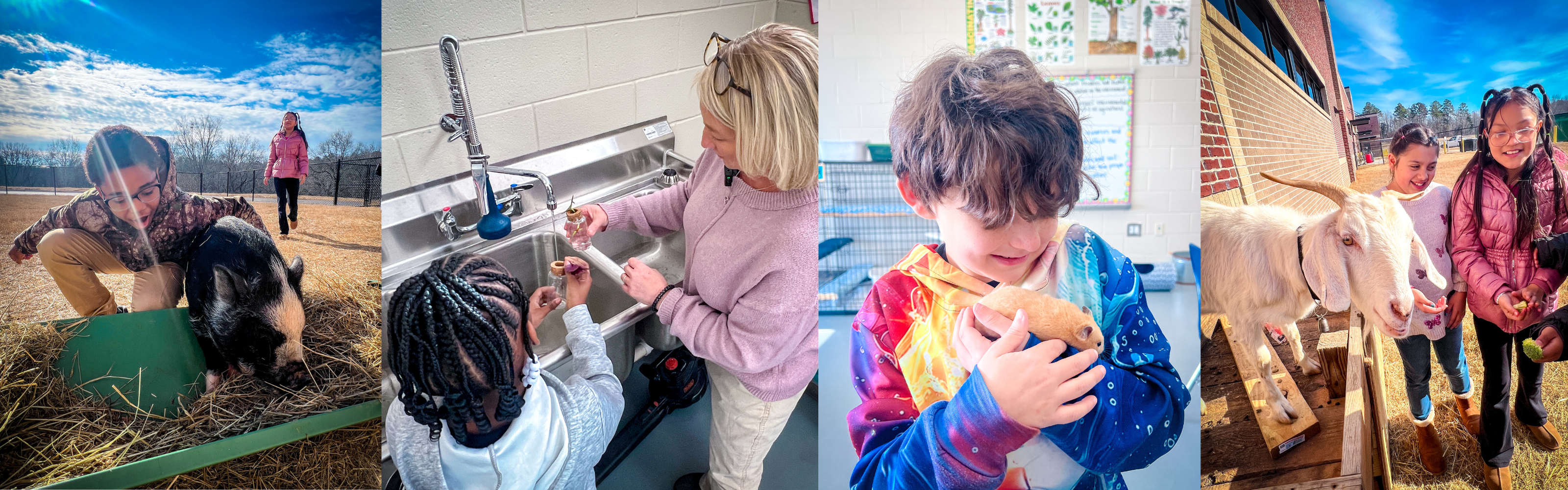 agriculture class, students with pig, goat, hamster, looking at plants