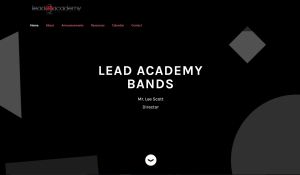 Lead Academy Bands