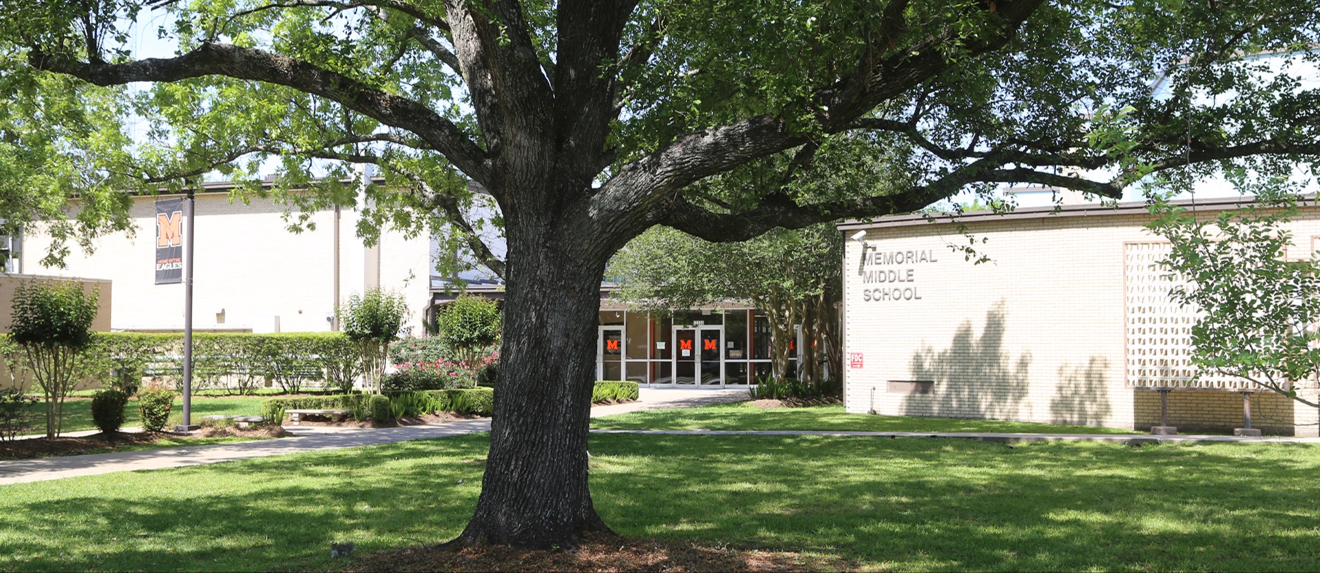 A large tree stands in front of a building with glass doors and a sign. Buildings and shrubs are in the background.