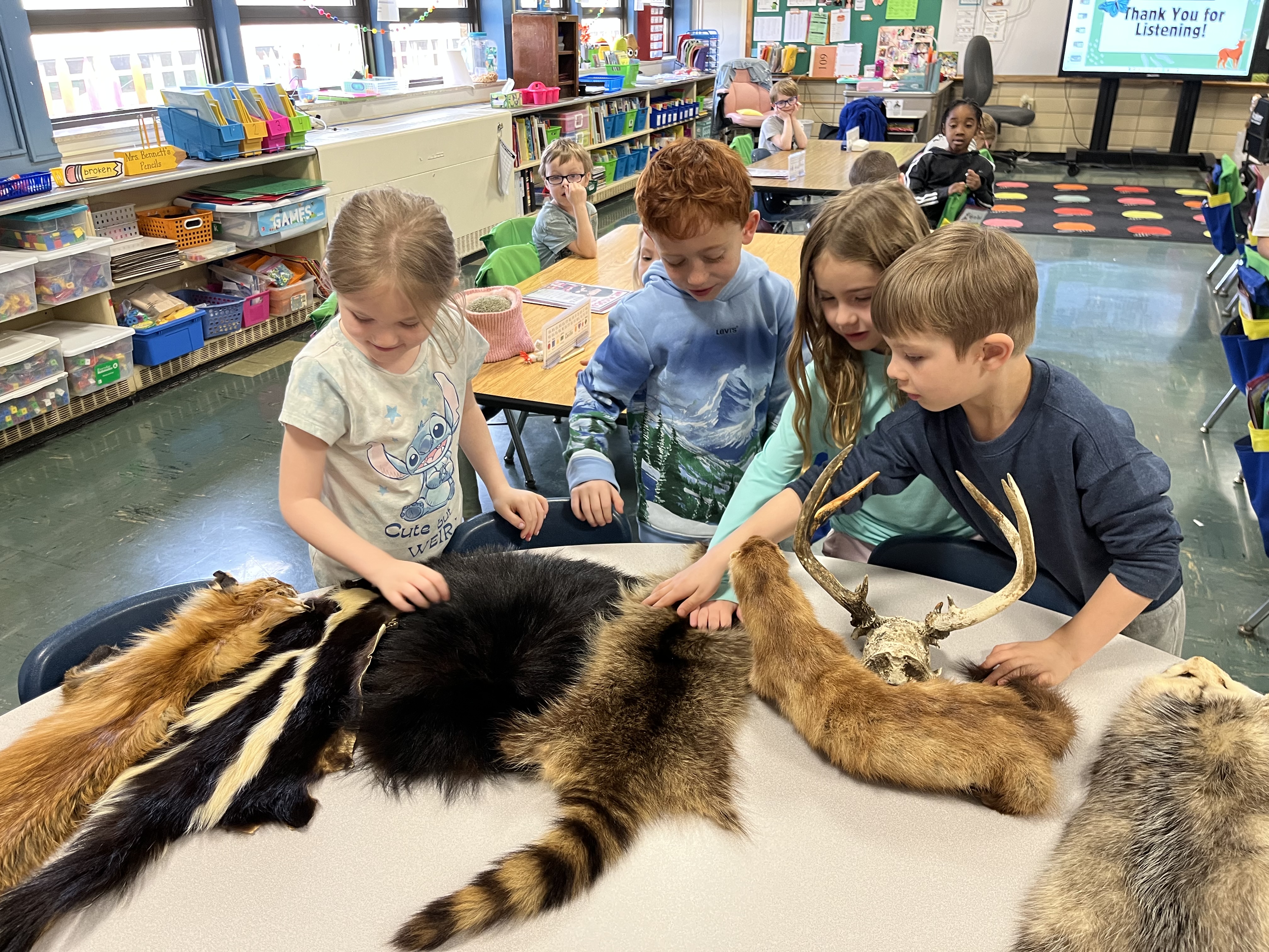kindergarten students looking at animal furs for nature program