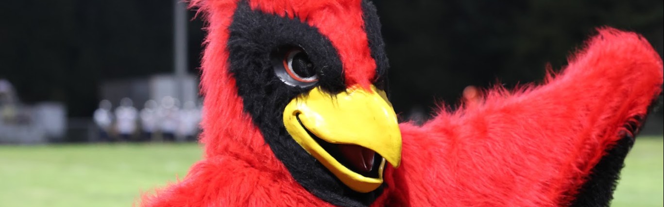 cardinal