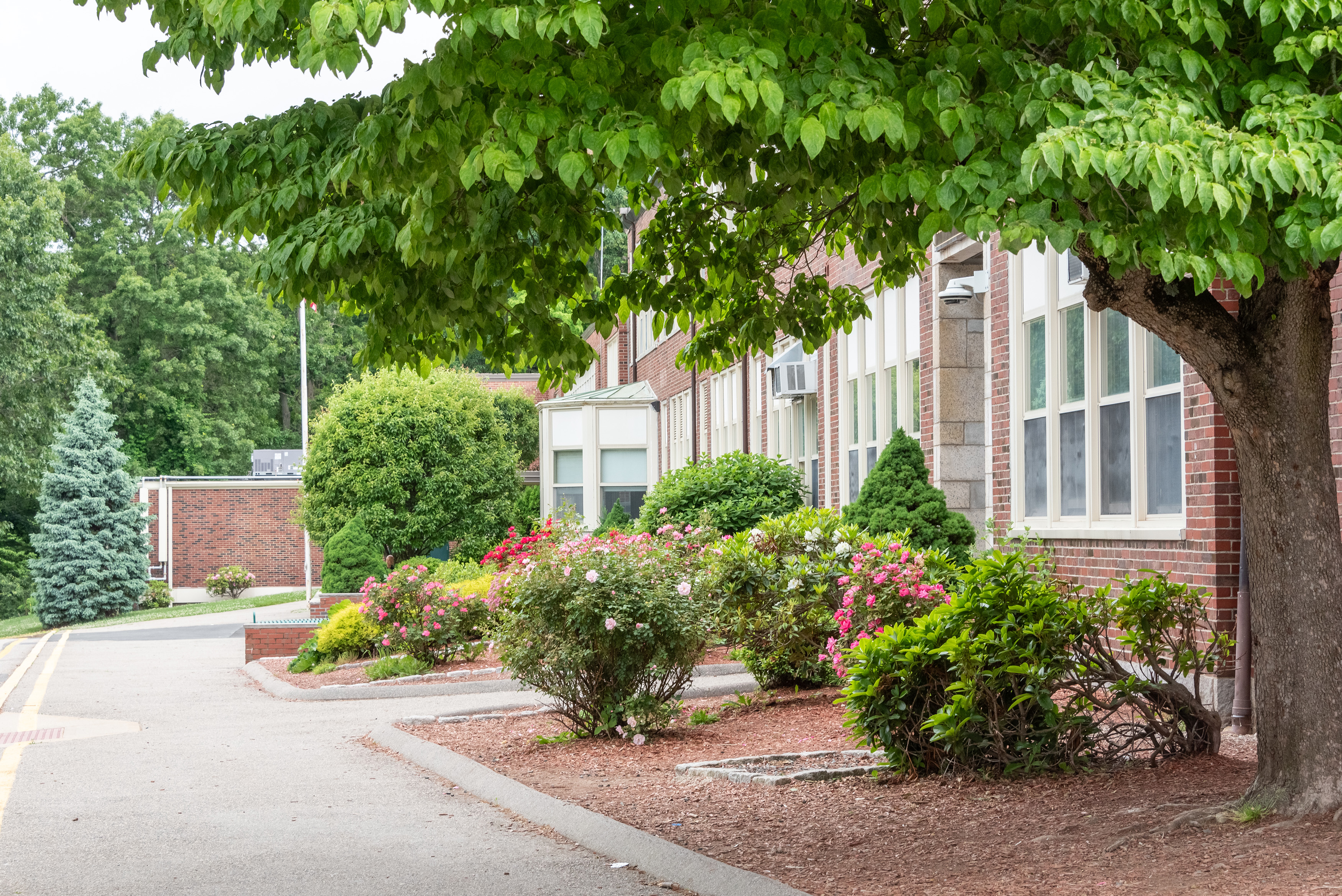 Photo of the front of Thurston Middle School