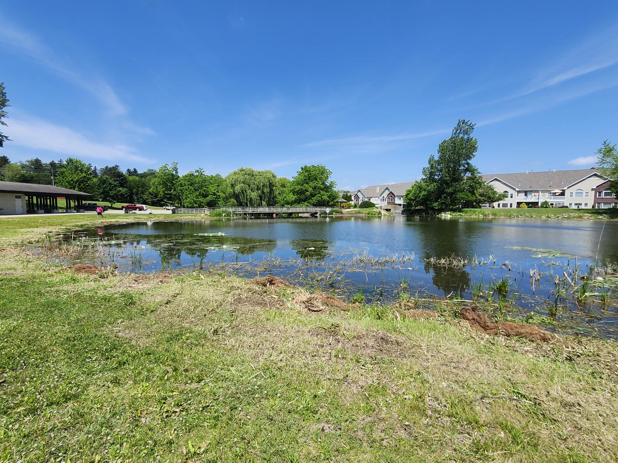 Image of Trippe Lake 