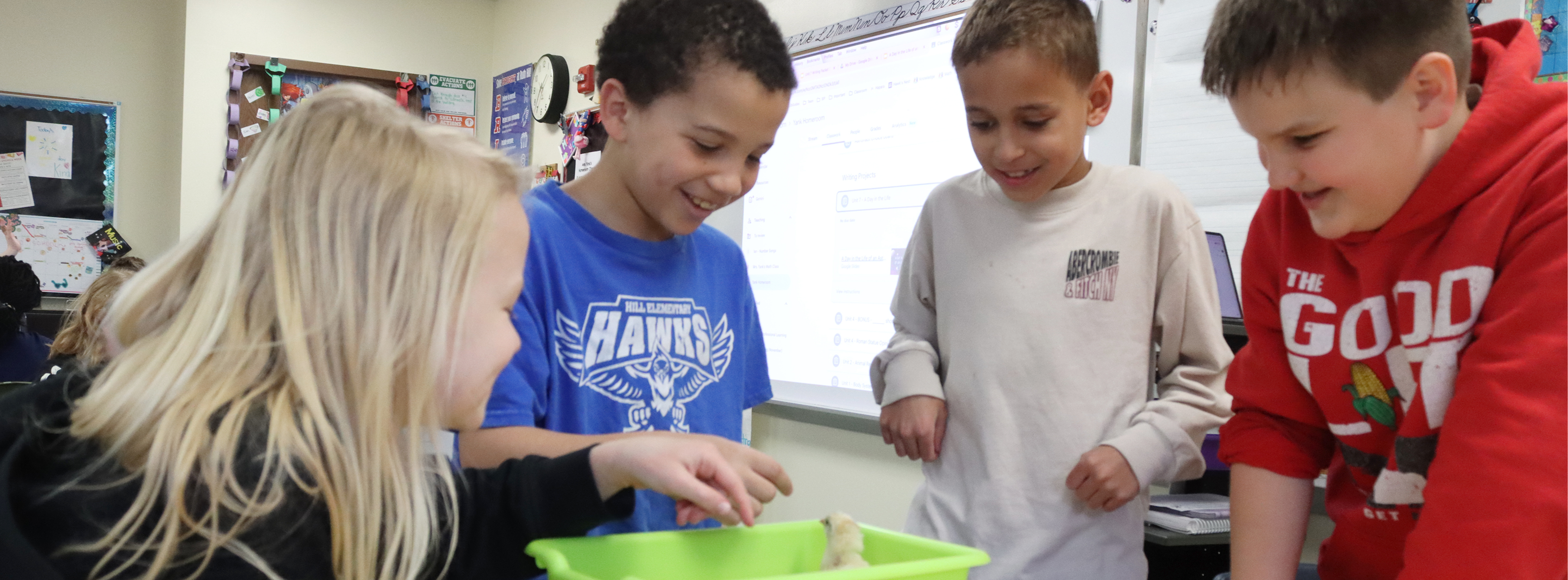 Hill students petting newborn chicks