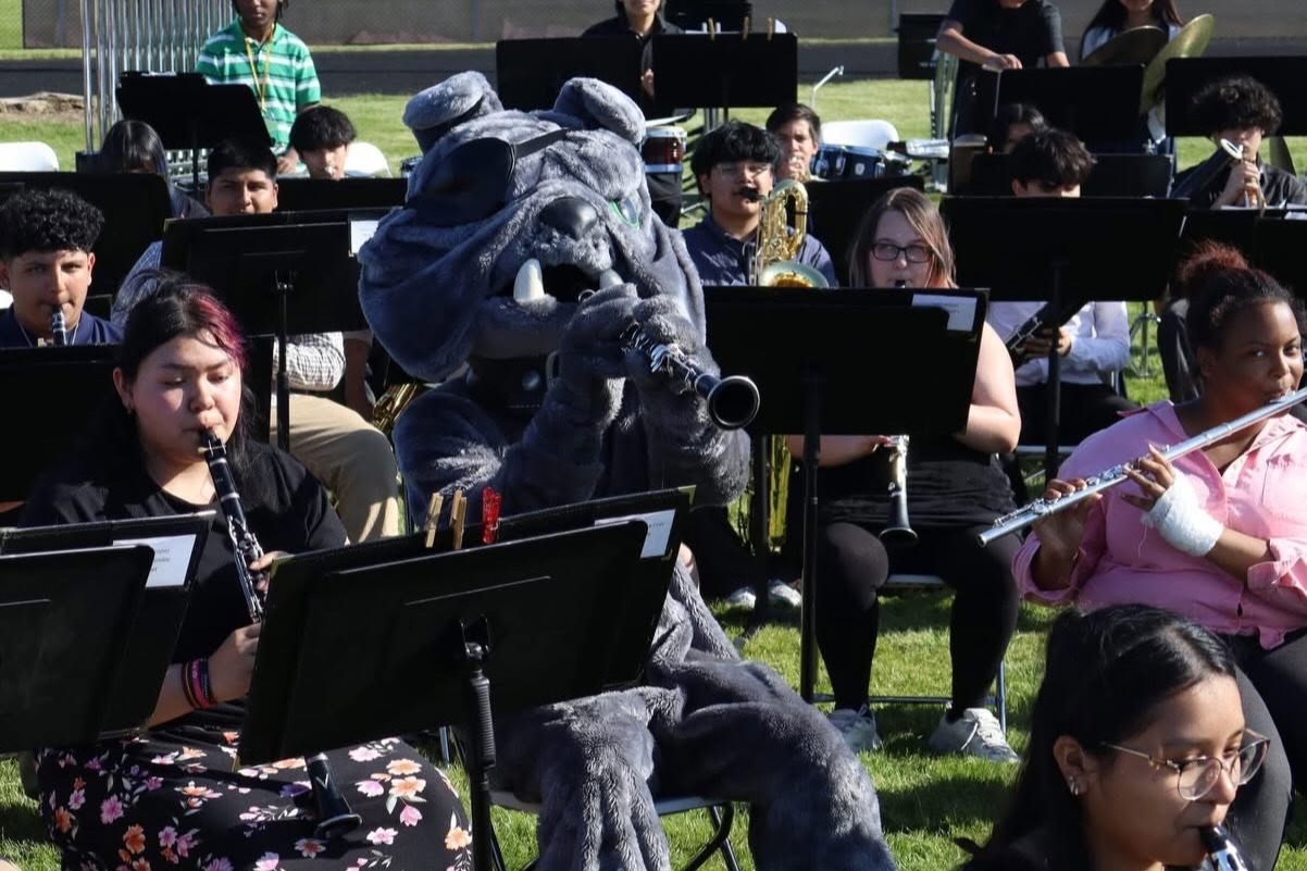 Bulldog mascot playing with the Band