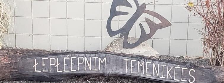 City of Lapwai art