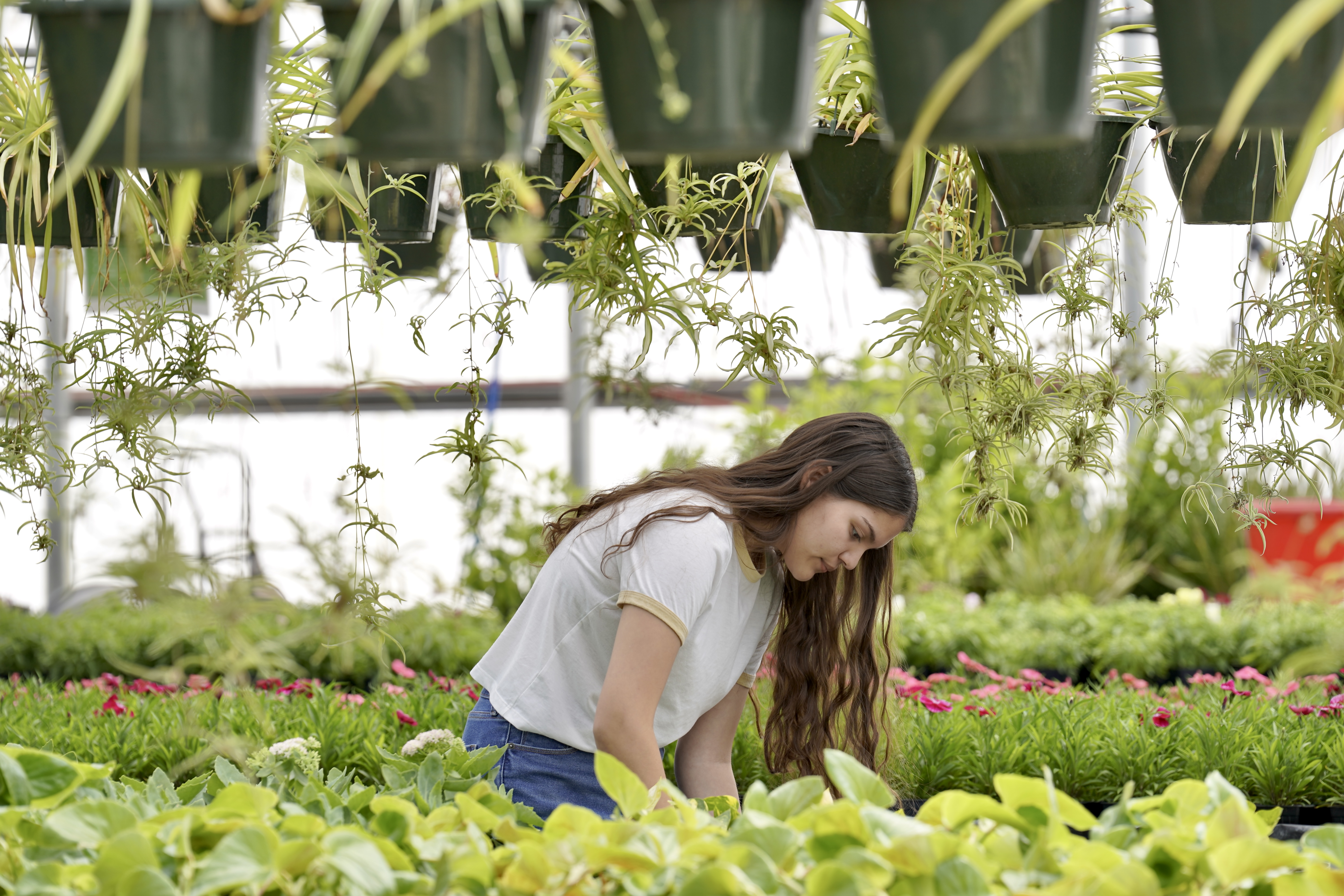 girls working in greenhouse