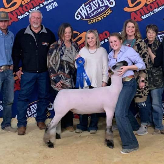 FFA student wins lamb show