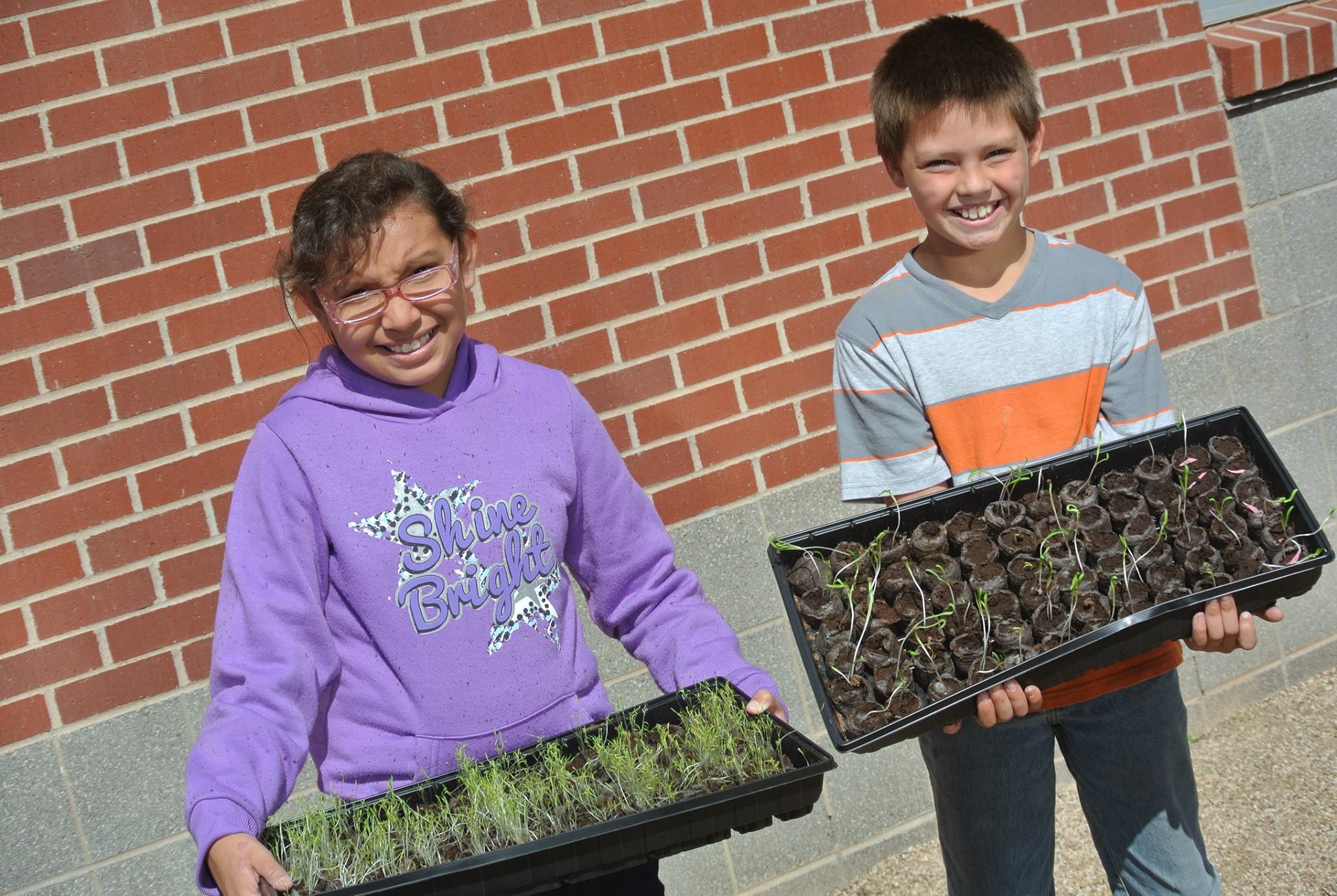 Students holding seedlings