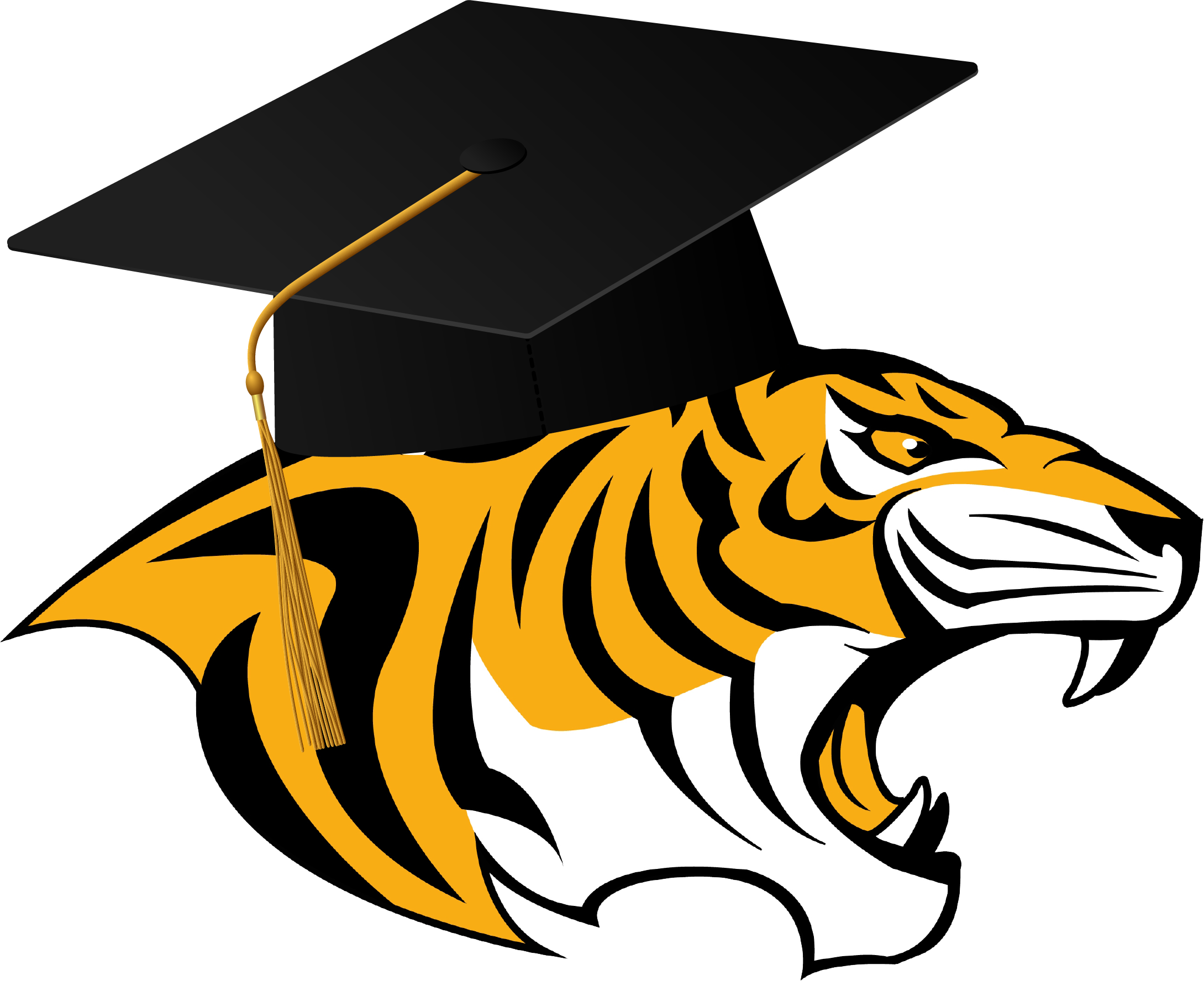 Tiger with cap
