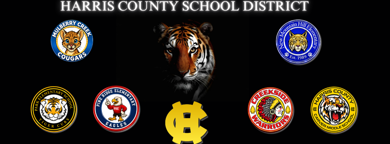 HCSD District Logos