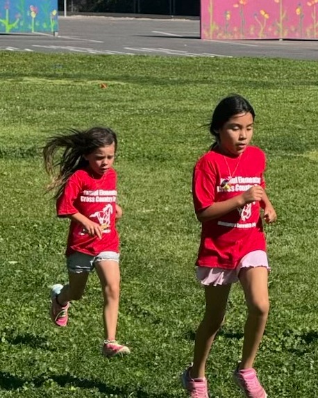JES Cross country