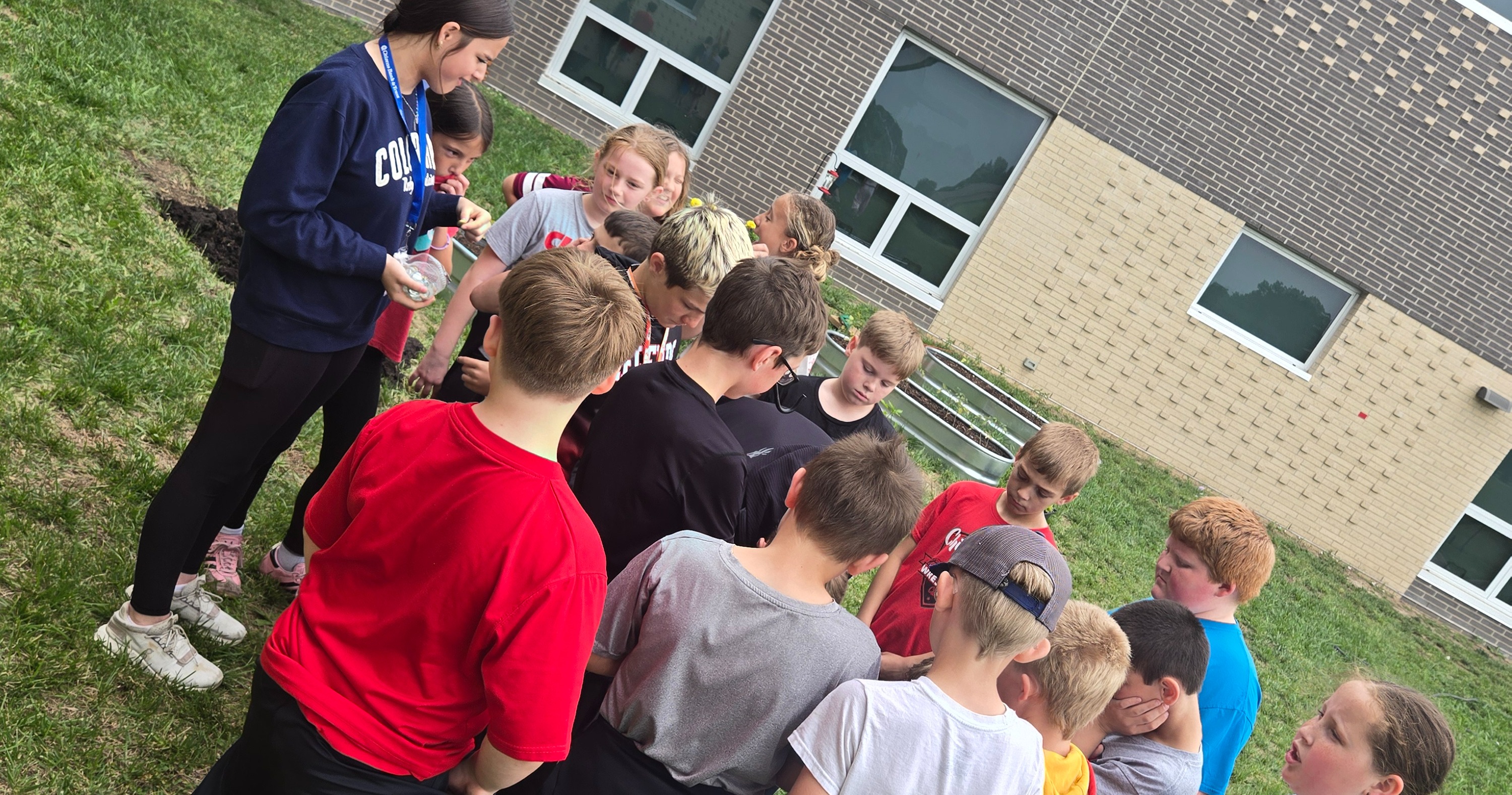 Learning about nature at Summer School
