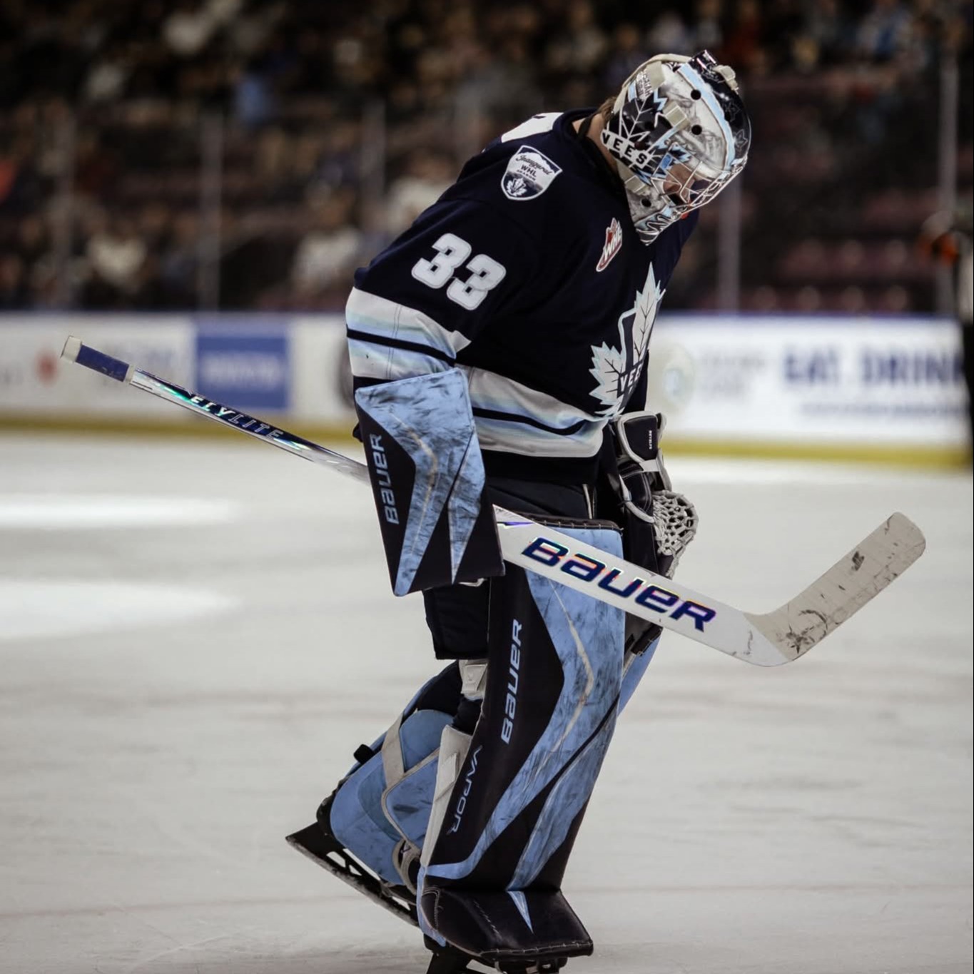 Pentitcon Vees Goalie AJ Reyelts (PHS graduate) is up for Western Hockey League Goalie of the Year