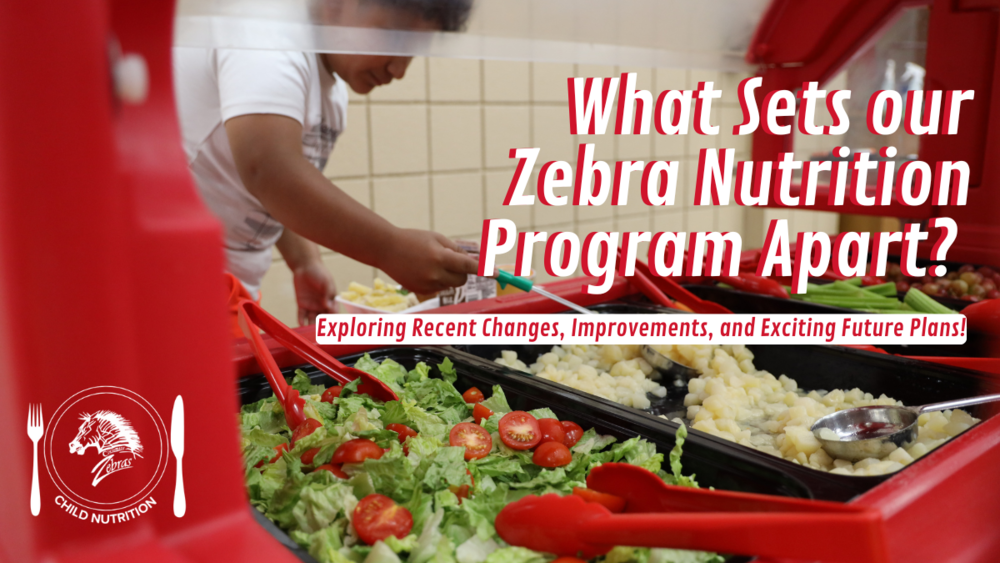 What Sets our Zebra Nutrition Program Apart? Exploring Recent Changes, Improvements, and Exciting Future Plans!