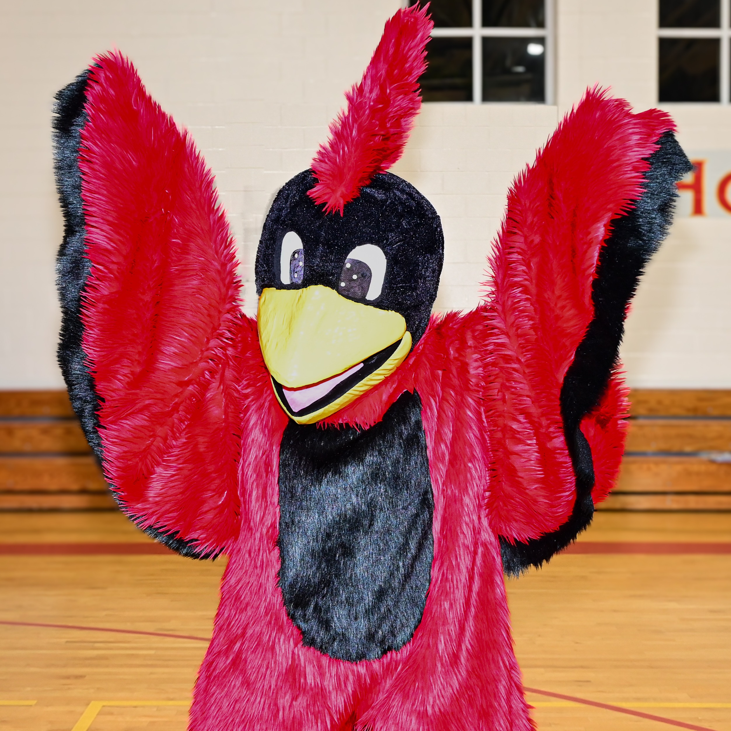 kolbe mascot